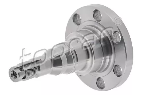 Achszapfen, Achskörper