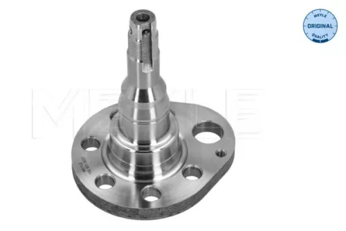 Achszapfen, Achskörper