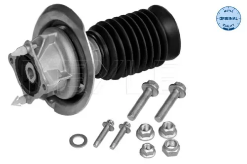 Federbeinstützlager