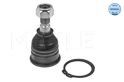 Trag-/Führungsgelenk