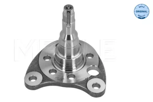 Achszapfen, Achskörper