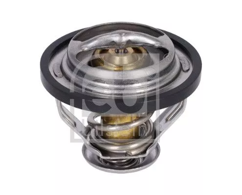 Thermostat, Kühlmittel